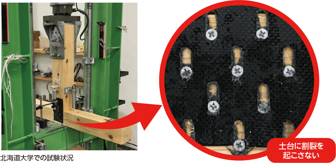北海道大学での試験状況 土台に割裂を起こさない